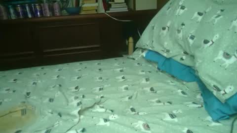 yacht3oy online show from December 2025 09:05:02 AM