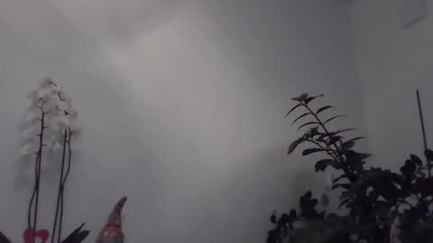 yakijoe online show from March 2026 10:57:01 PM