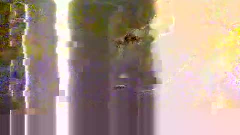 Snapshot of yangolox3 chatting on May 2026 02:30:01 AM yangolox3 online show from May 2026 02:30:01 AM