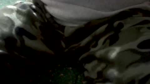 Yankee online show from February 2026 05:28:02 AM