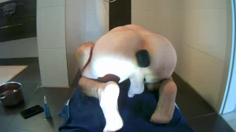 yeah285 online show from July 2026 01:18:01 PM