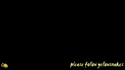 .     y e l l o w s n a k e s       . online show from April 2026 10:53:02 AM