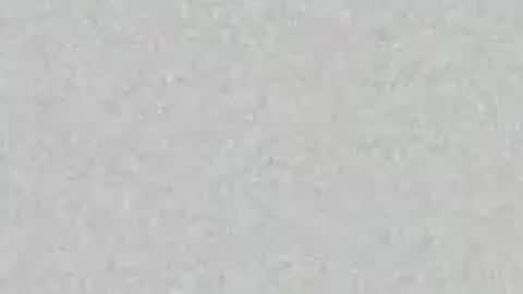 .     y e l l o w s n a k e s       . online show from April 2026 01:56:02 PM