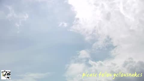 Snapshot of yellowsnakes chatting on June 2026 05:02:01 AM . y e l l o w s n a k e s . online show from June 2026 05:02:01 AM