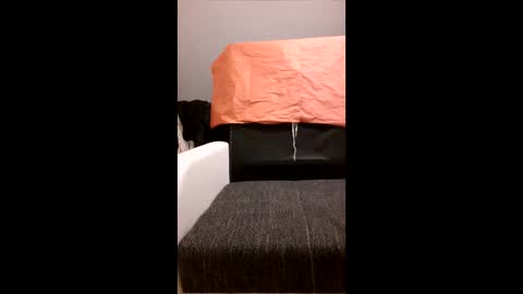 yhoxhbwehhzw online show from April 2026 12:02:01 AM