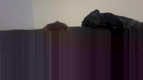 Self fucking fucktoy online show from April 2026 01:58:02 AM