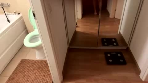 Snapshot of yonise909383 chatting on February 2025 12:36:02 AM yonise909383 online show from February 2025 12:36:02 AM