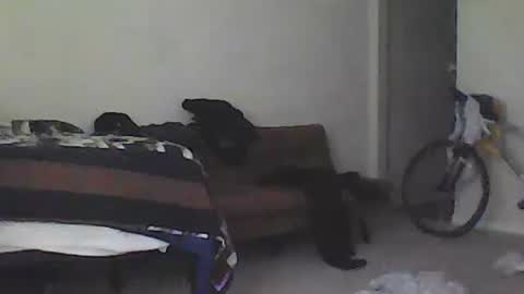 kindahorny online show from February 2025 09:37:01 PM