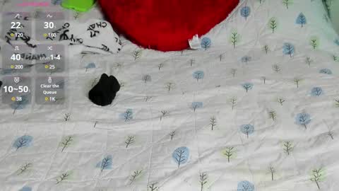 mia3 online show from February 2025 04:39:02 AM