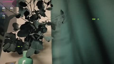 Snapshot of your_dream_alice chatting on February 2025 08:09:02 PM Alice online show from February 2025 08:09:02 PM