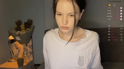 Snapshot of yourher0in chatting on January 2025 11:28:02 AM Aida online show from January 2025 11:28:02 AM