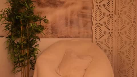 Snapshot of yourmidnightcoffee chatting on February 2025 10:51:01 PM Sarah online show from February 2025 10:51:01 PM