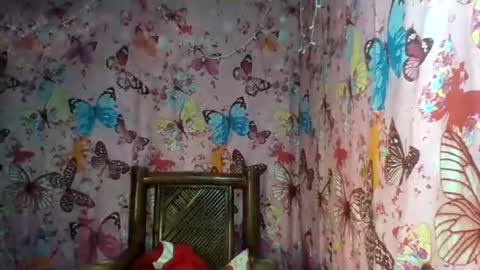 im MAY online show from February 2025 10:37:01 PM