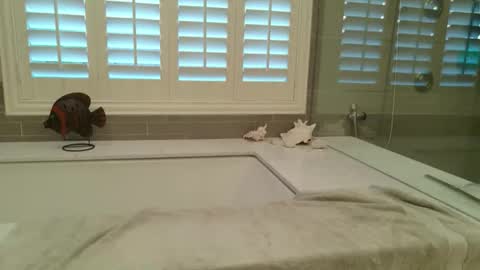 yttims online show from February 2026 03:43:01 PM