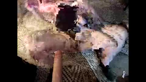 yummythick5150 online show from November 2025 01:16:01 AM