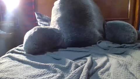 Fire 0range kush online show from December 2025 10:28:02 PM