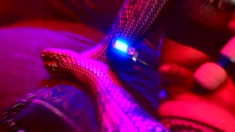 Snapshot of z0rl0c chatting on October 2025 05:38:01 AM Z0RL0C online show from October 2025 05:38:01 AM