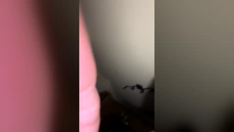 Snapshot of zachmurphbigboy chatting on March 2026 03:41:02 AM zachmurphbigboy online show from March 2026 03:41:02 AM