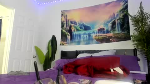 Zack Pipher online show from March 2026 12:17:02 PM