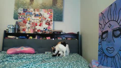 Snapshot of zaddyslilslutbucket chatting on September 2025 10:20:01 PM zaddyslilslutbucket online show from September 2025 10:20:01 PM