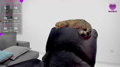 zafiralov online show from December 2025 02:20:01 AM