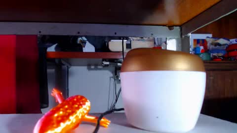 zafiro_subversiva online show from March 2026 09:30:01 PM