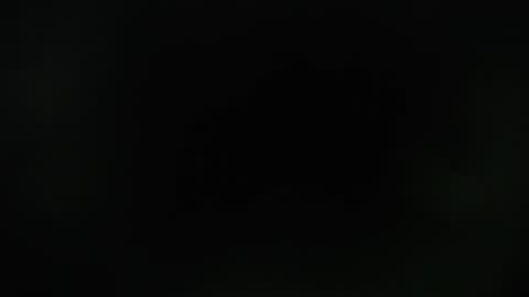 KAAL online show from December 2024 12:29:02 PM