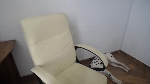 KAAL online show from December 2024 04:21:02 PM