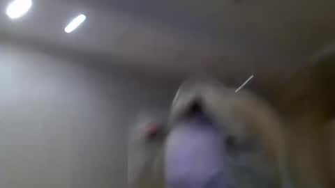 Zarina Swift online show from February 2025 04:47:02 AM