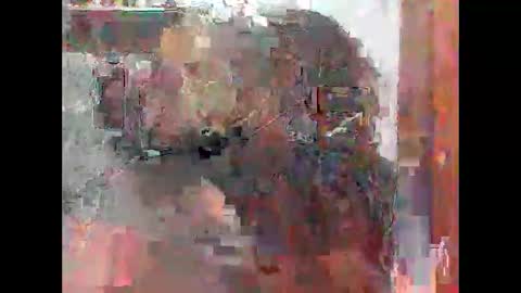 Snapshot of zatiro992 chatting on February 2026 07:49:01 AM Zatth online show from February 2026 07:49:01 AM