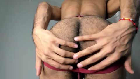 zayn 3 online show from January 2026 08:47:01 PM