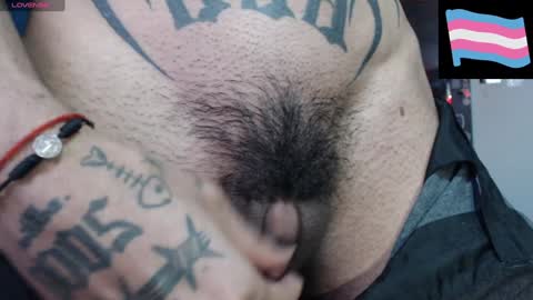 Zeldris online show from February 2025 10:51:02 PM