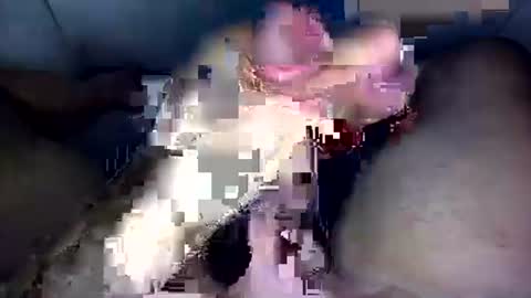 zezin1 online show from September 2025 03:30:02 AM