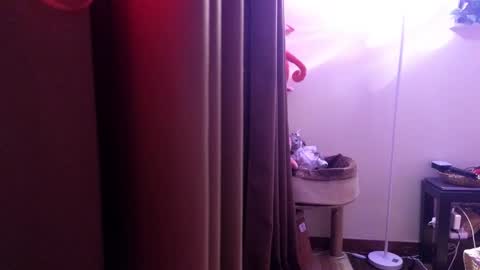 Ziggy ziggy-   online show from February 2025 02:02:02 PM