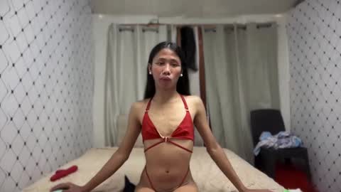 Zinnia nics online show from November 2025 05:17:01 AM