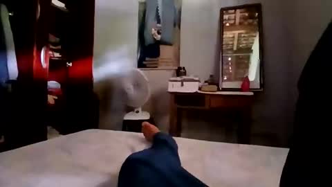 zitojose73 online show from November 2025 05:12:02 PM