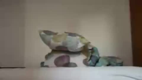 Snapshot of zkopa1234 chatting on June 2026 01:48:02 PM zkopa1234 online show from June 2026 01:48:02 PM