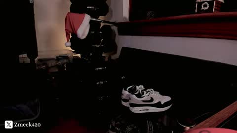 Z   online show from December 2025 10:51:03 PM