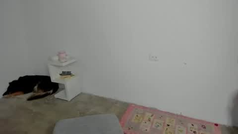 Snapshot of zoe_wattson chatting on April 2026 09:17:02 PM Zoe online show from April 2026 09:17:02 PM