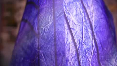 zoey fox  online show from April 2026 11:27:02 PM