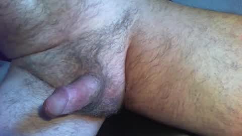 zokalo online show from February 2026 11:50:01 AM