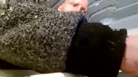 zolexthomas online show from January 2025 04:51:02 PM