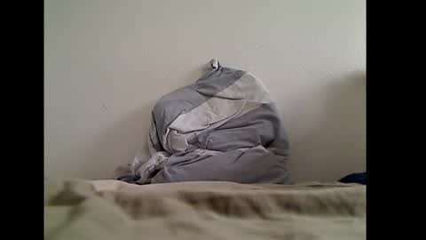 zwweener online show from January 2026 12:33:02 PM