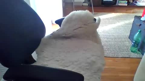 zyggy87 online show from February 2026 06:55:02 AM