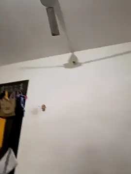 rajstrip12650 online show from December 2024 05:22:01 PM