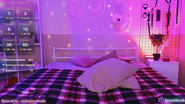 Snapshot of ServantBrook chatting on February 2025 11:05:02 AM ServantBrook online show from February 2025 11:05:02 AM