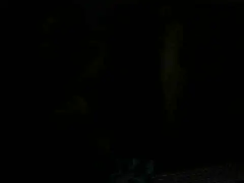 Snapshot of NovaChina chatting on February 2025 06:39:01 AM NovaChina online show from February 2025 06:39:01 AM