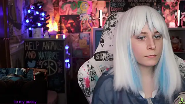 ShiroiFubuki online show from January 2025 02:36:01 PM