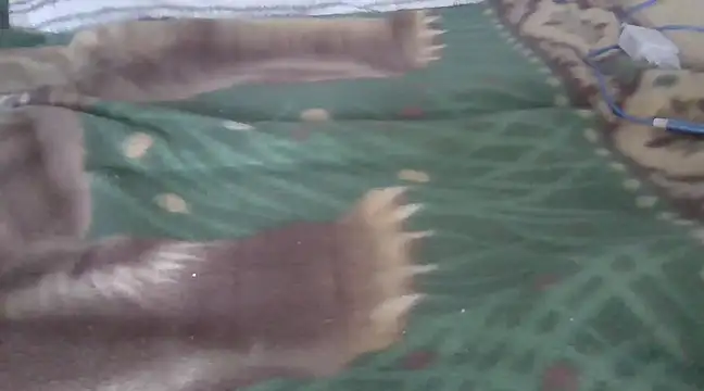 zorritasuperhot online show from February 2025 05:33:01 PM