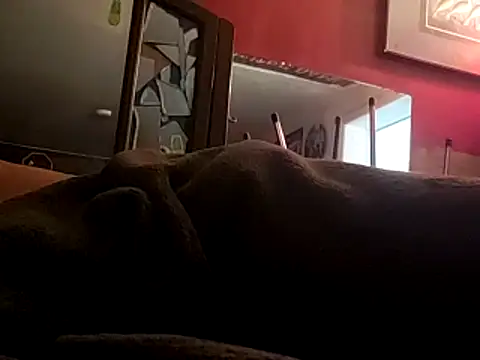 JRock69nKzoo online show from November 2025 11:54:01 AM